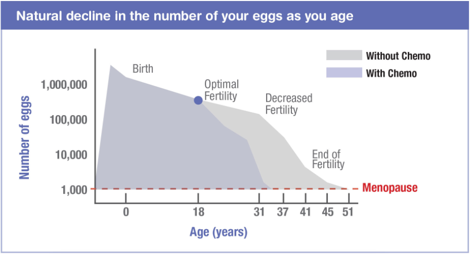 Graph: Natural decline in the number of your eggs as you age.
